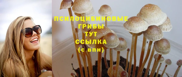 прущий лед Туринск