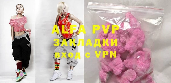 spice Гусев