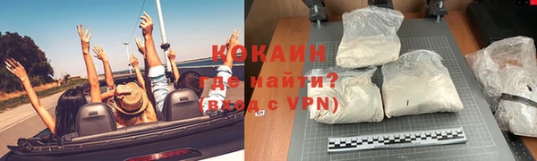 гидра Гусь-Хрустальный