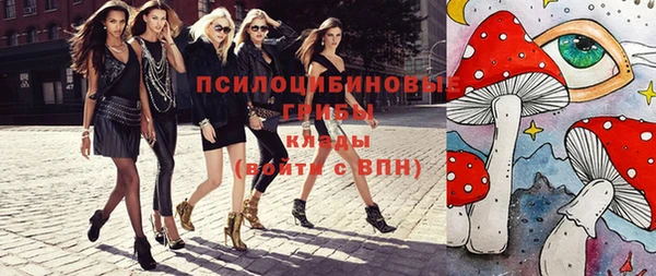 гидра Гусь-Хрустальный