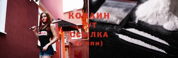 spice Гусев