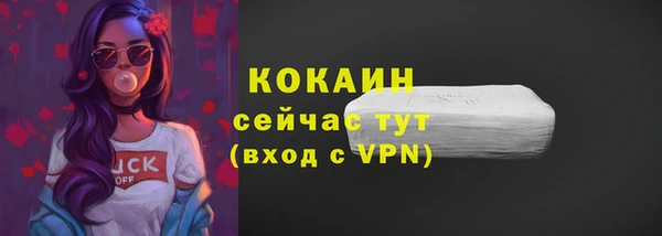 spice Гусев
