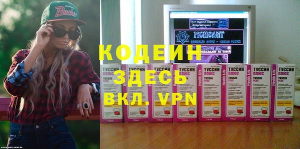 spice Гусев