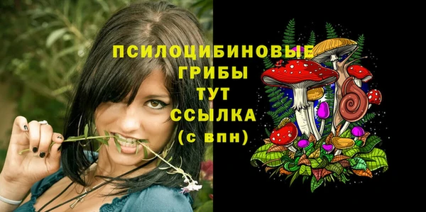 spice Гусев
