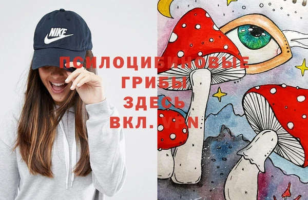 spice Гусев