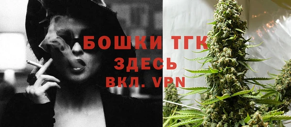 гидра Гусь-Хрустальный