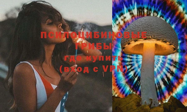 соль ск Гусиноозёрск