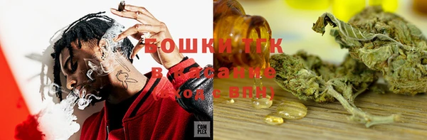 гидра Гусь-Хрустальный