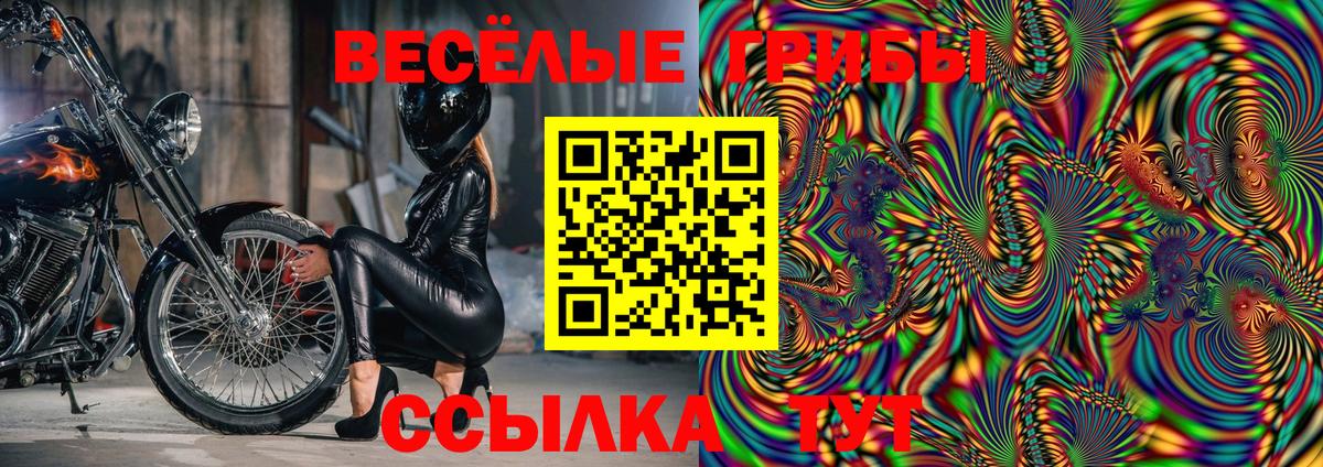 Галлюциногенные грибы мухоморы Минеральные Воды