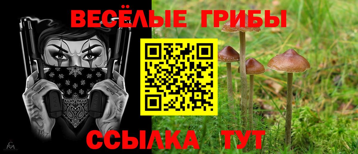 Псилоцибиновые грибы ЛСД Минеральные Воды