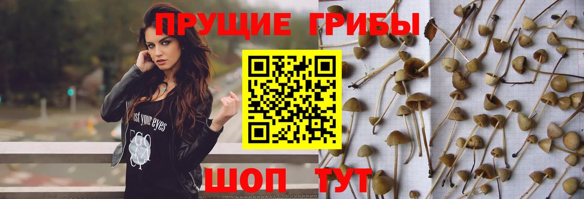 Галлюциногенные грибы Magic Shrooms  Минеральные Воды 